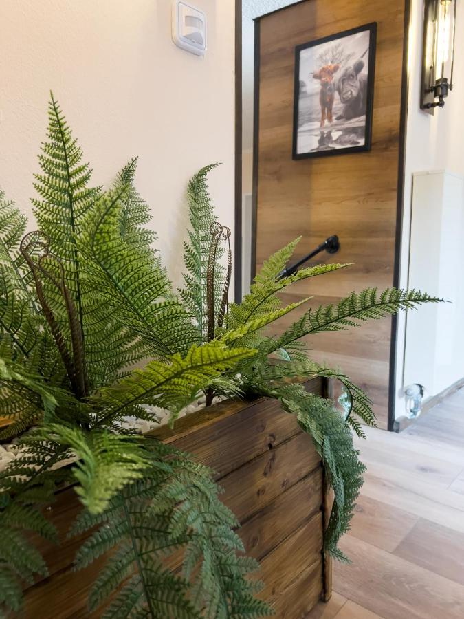 Fewo Ottobeurens Schmuckstueck: Gemuetlich-Stylische Wohnung Esterno foto